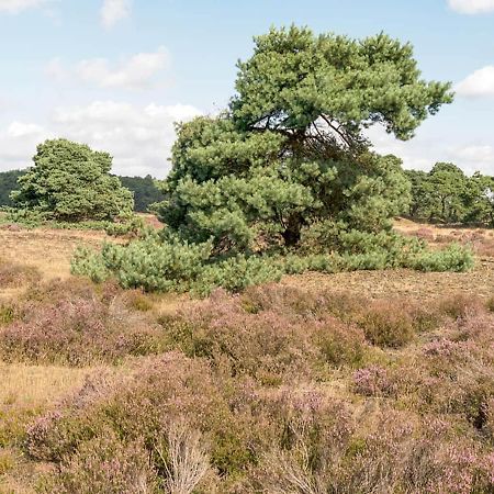 Heerlijke Vakantiewoning Veluwse Bossen Putten Kültér fotó