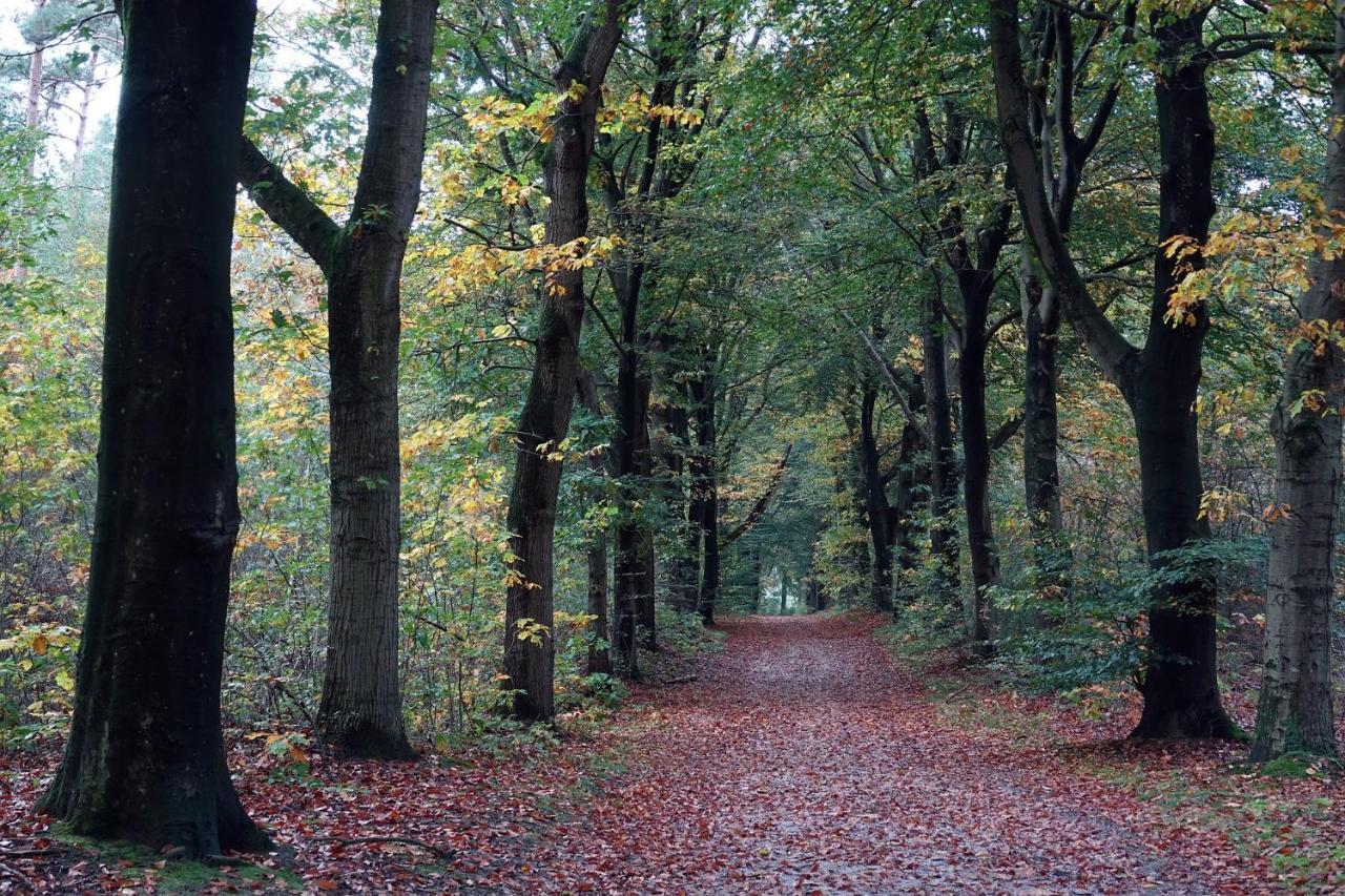 Heerlijke Vakantiewoning Veluwse Bossen Putten Kültér fotó